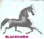 Horse Weathervane - Blackhawk